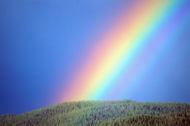 Happy New Rainbow Monday画像