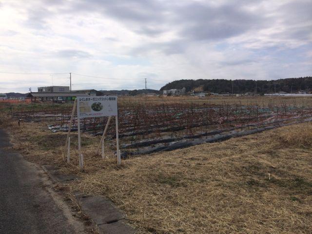 【受付終了】3/23 復興支援活動＆耕作放棄地プロジェクト画像