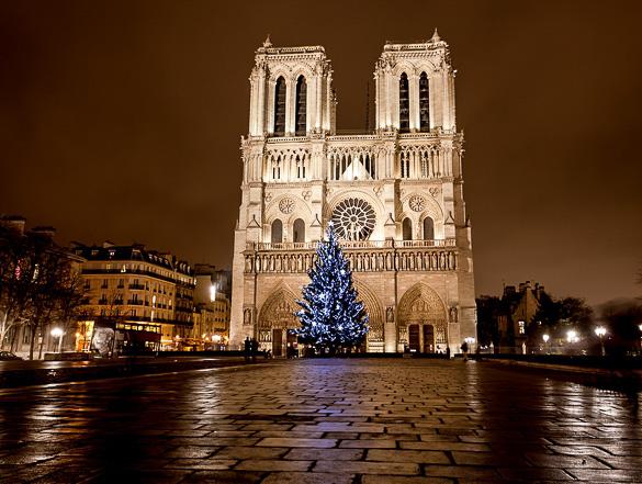 【お掃除 - Nettoyage】dimanche 21 decembre a Notre Dame画像