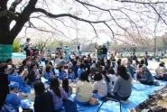 2016駒沢公園お花見そうじ画像