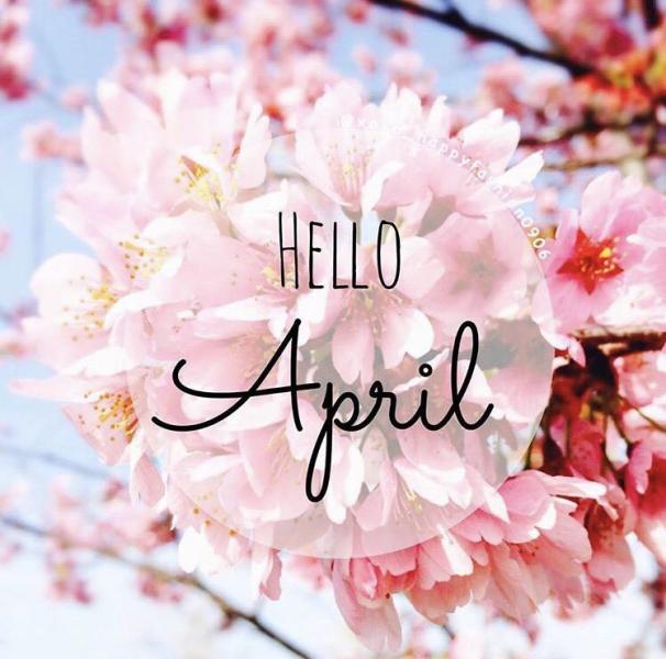Hello Hello Hello April画像