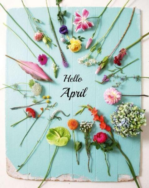 Hello Hello April画像