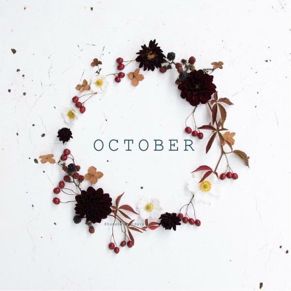 Hello Hello October!画像