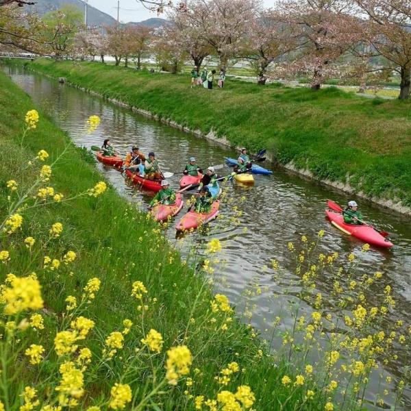 【姫路】お花見おそうじ川下り"カヌーでGO"画像