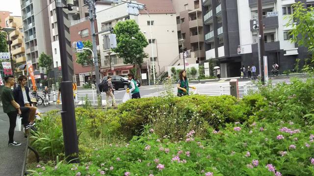 5月の早稲田大学周辺おそうじ画像