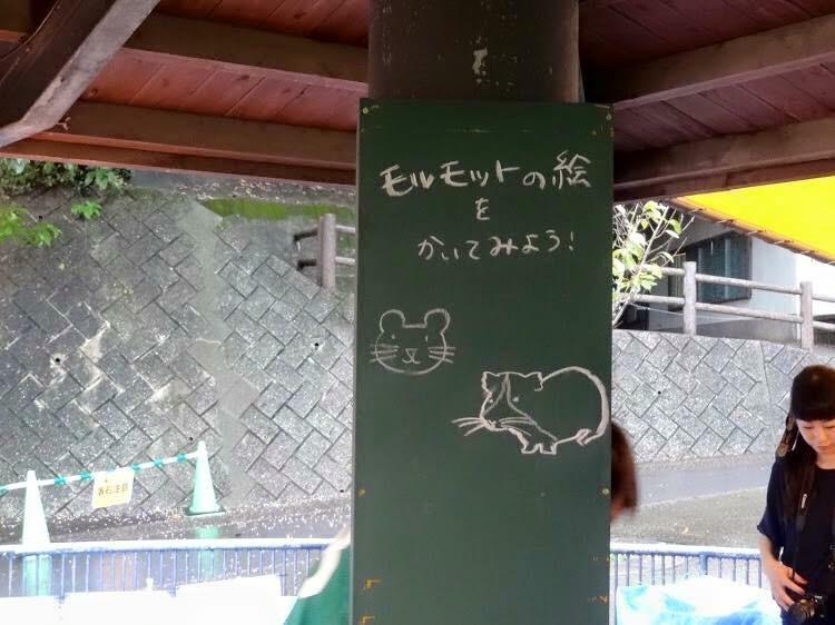 大牟田市動物園でDIY!グリーンバードコラボイベント画像