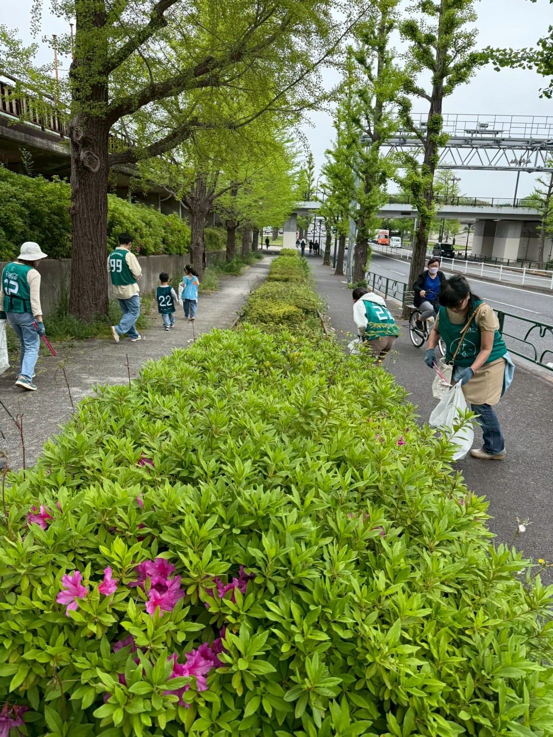 駒沢公園おそうじ_2025年4月②