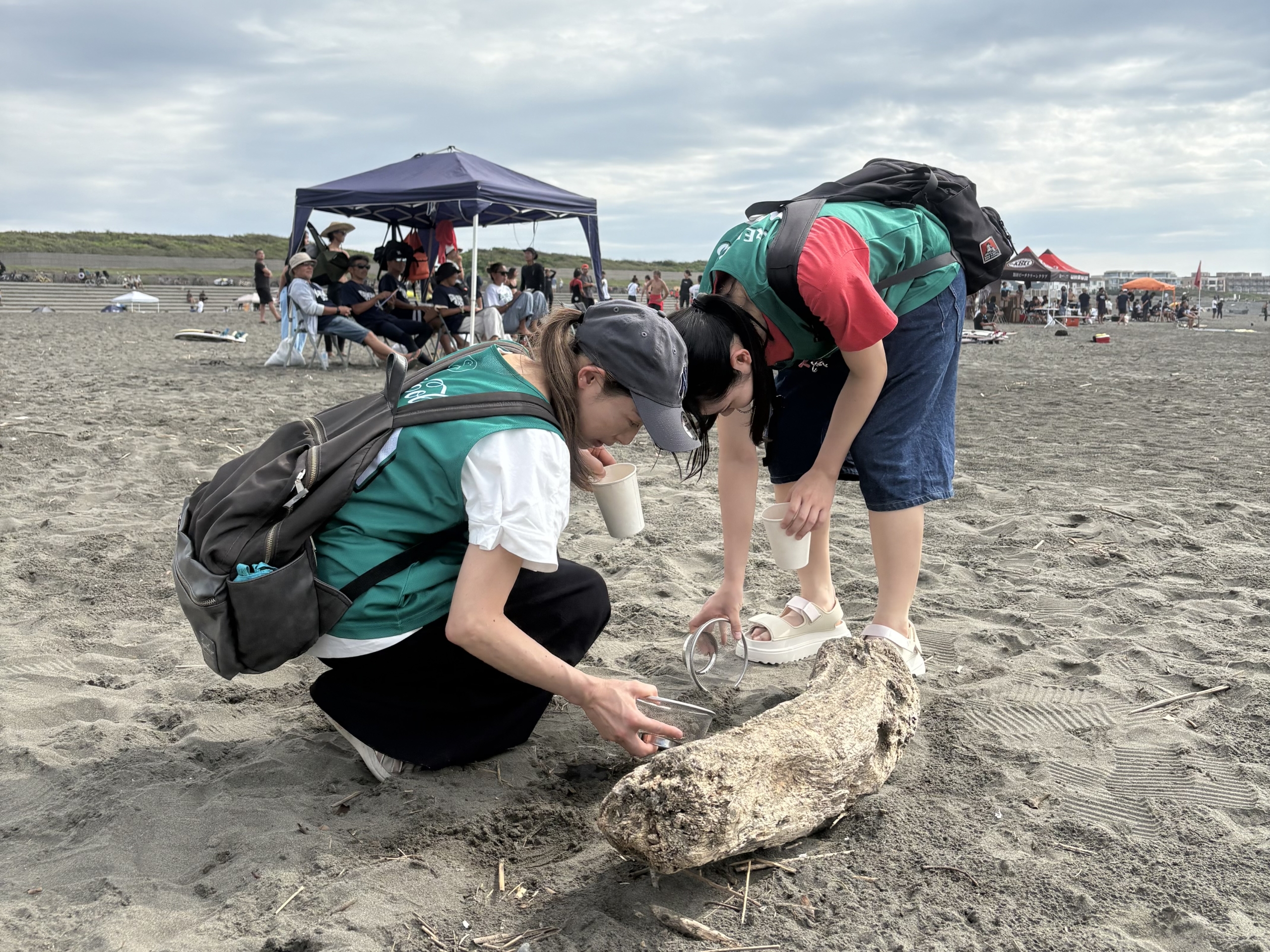 鵠沼海岸でマイクロプラスチック拾い