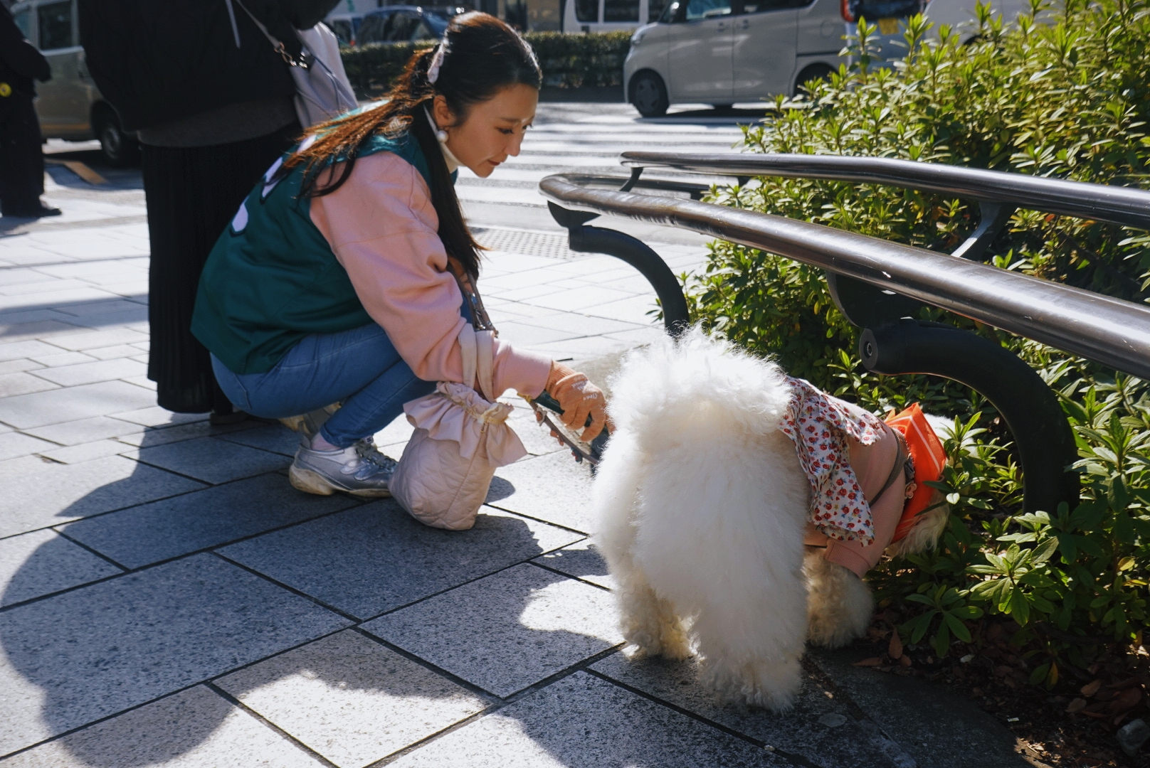 わんわん🐾ごみ拾い vol.3 ＠表参道