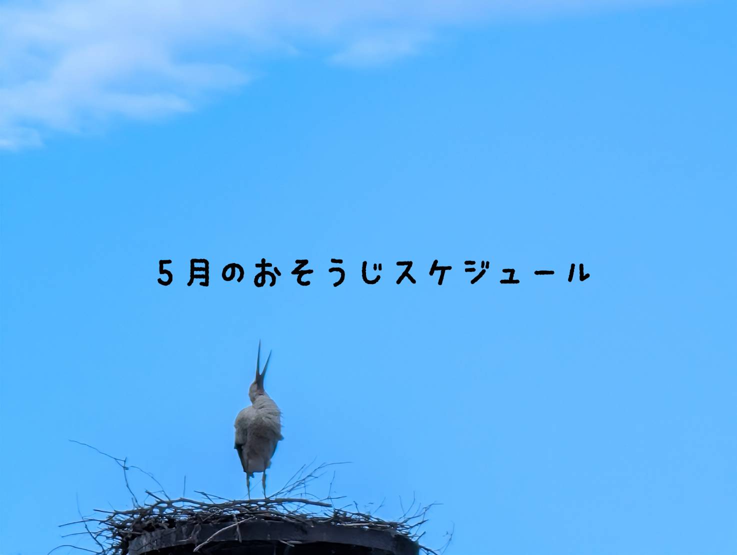 5月のおそうじスケジュール