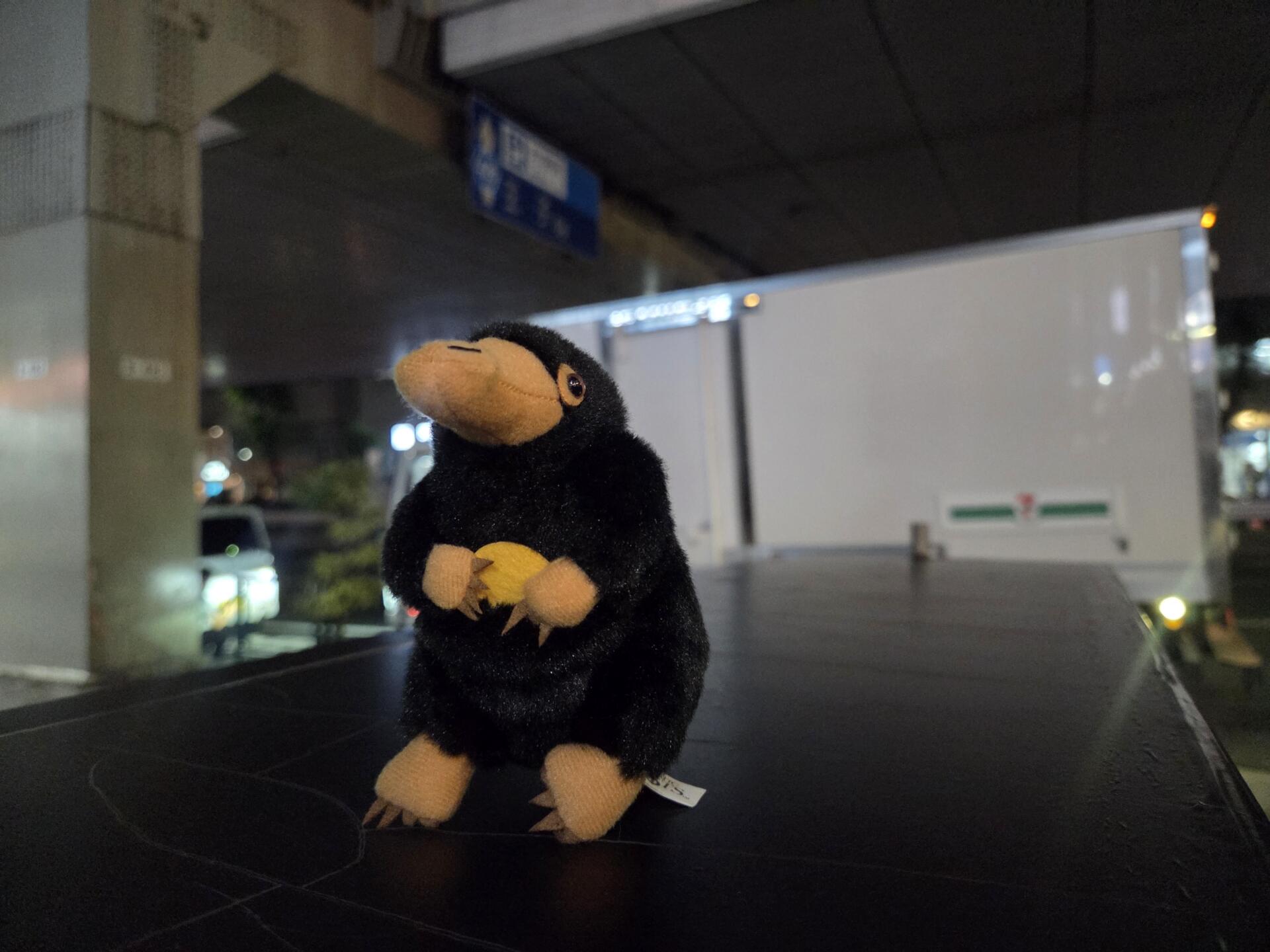 珍しく～企業コラボだよ～～