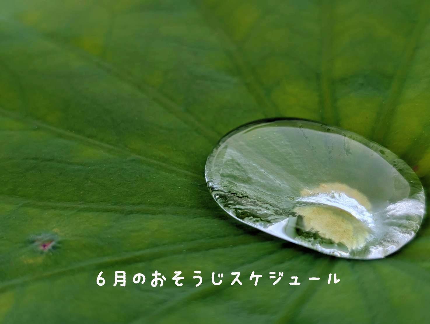 6月のおそうじスケジュール